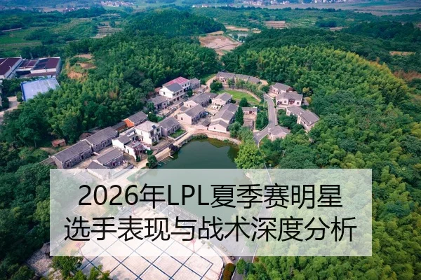 2026年LPL夏季赛明星选手表现与战术深度分析
