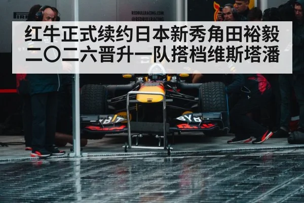 Max Verstappen Red Bull racing