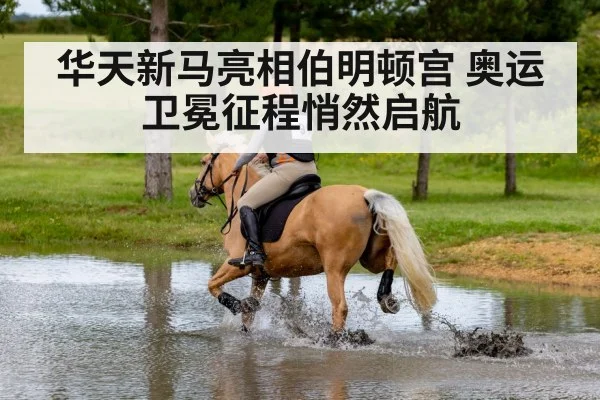 华天新马亮相伯明顿宫 奥运卫冕征程悄然启航